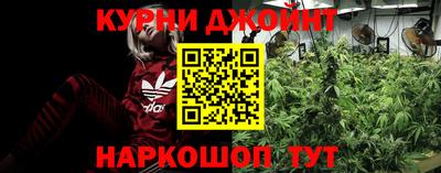 мдпв Пенза