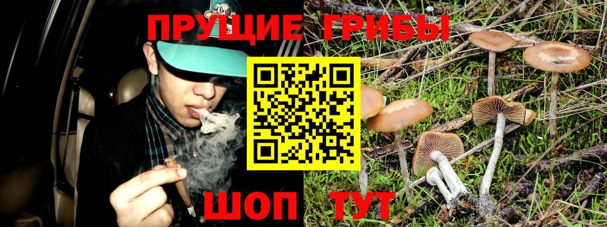 Псилоцибиновые грибы прущие грибы  Галлюциногенные грибы Cubensis  Вход с VPN  Среднеуральск 